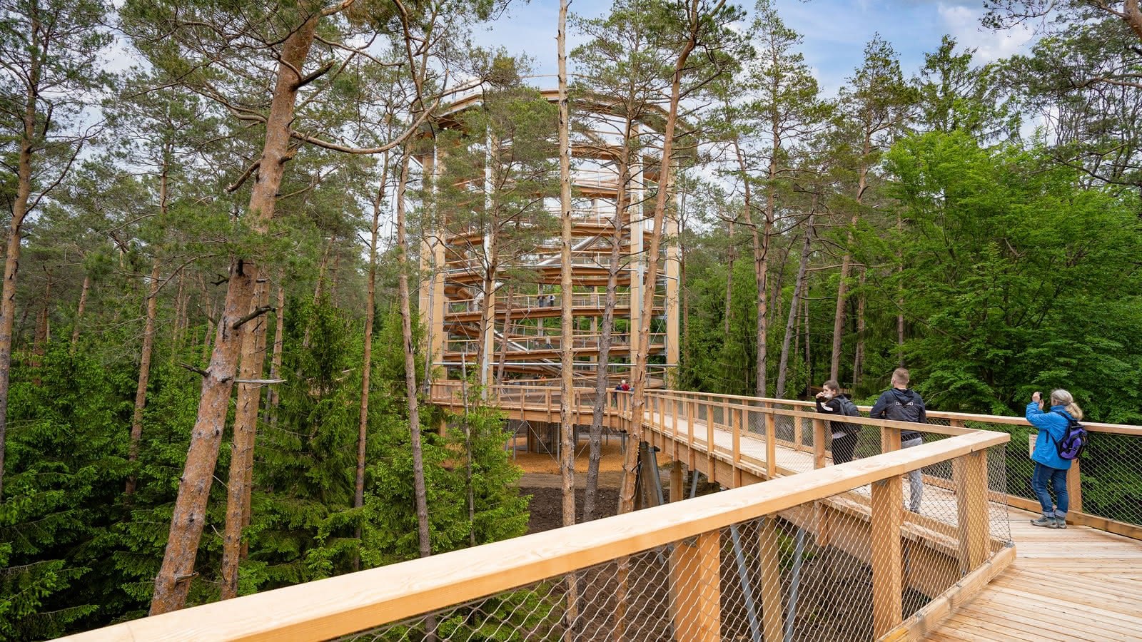 Le Chemin des Cimes : Paradis en Forêt d'Alsace