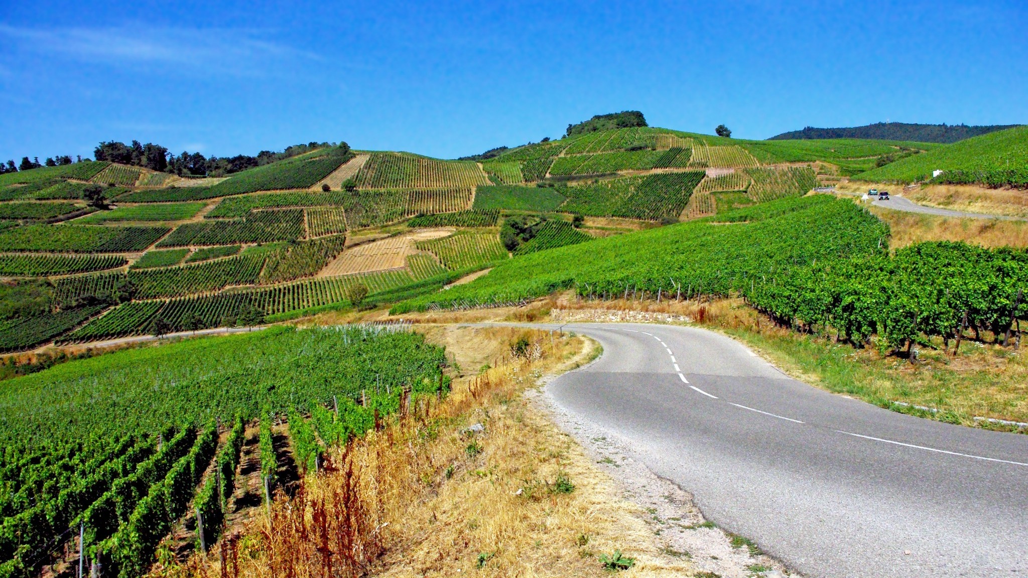 La Route des Vins d'Alsace : 170 km de Découvertes